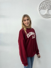 Sudadera básica de algodón (Los Ángeles)