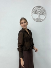 Blusa Marrón Semitransparente con Detalles de Puntitos