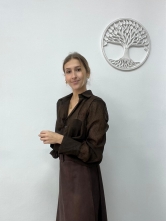 Blusa Marrón Semitransparente con Detalles de Puntitos